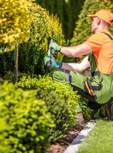 Moore Elite Solutions services